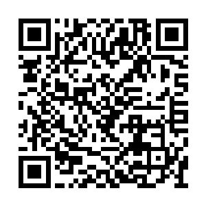 她不清楚自己现在这个状态是否可以复原通天塔二维码生成