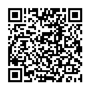 她不知道为什么自从失忆过后总是有那么多的违和感二维码生成