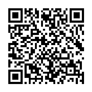 她不知道为何自己回到圣女峰的第一件事情便是召集同门二维码生成