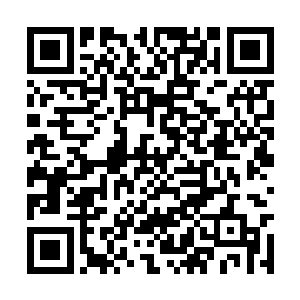 她不知道在她只顾着拼命的砸着神魔黑熊头盖骨时二维码生成