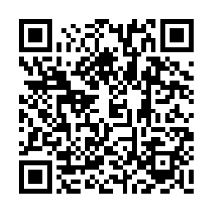 她不知道晏安之和四叔之间到底发生了什么事情二维码生成