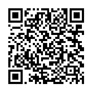 她不禁想起蛋圆圆把她关在实验室里逼她下刀的情形二维码生成