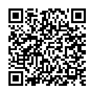 她不过是听了自家小姐的吩咐来询问燕淮是否要用宵夜的罢了二维码生成