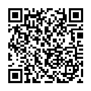 她不过是来看一下那个神秘的女子长得像什么样子二维码生成