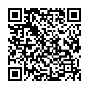 她与秦方之间的联系不会就此断绝的……或许要不了多久二维码生成