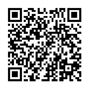 她两只眼睛盯着左侧的后窗户――窗户挂了窗帘二维码生成