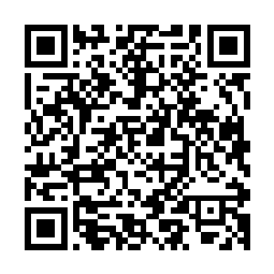 她临死的那一瞬间她想到的也仅仅是陈元庆和陈放两个人而已二维码生成