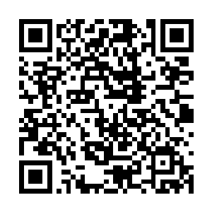 她为什么不肯放下心中的仇恨重新开始新的生活呢二维码生成