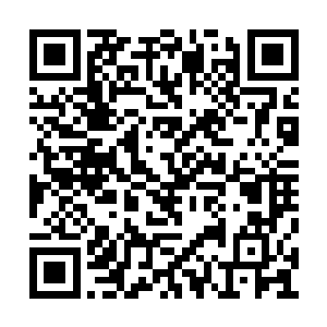 她之前有留意到满喜的指甲上涂了很精细的蔻丹二维码生成