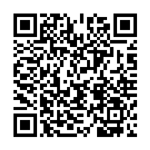 她之所以会遭受埋伏就是因为自己给的四位收割者通风报信二维码生成