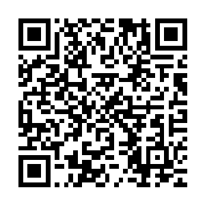 她也不想就这样被对方以那般高傲自大的态度左右了自己的一切二维码生成