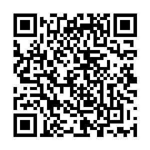 她也不知道为何到这一刻自己还对这句话抱有希望二维码生成