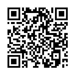 她也从一只幼猫变成了一只一岁多的青年猫二维码生成