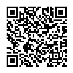她也从来都不会在任何人面前展现自己的身形面貌二维码生成