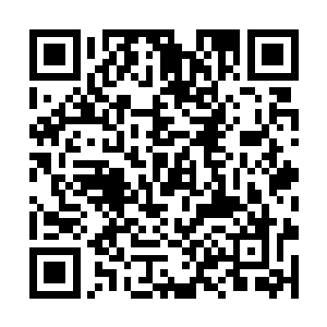 她也只能木着脸和身旁跟拉锯子一样的小孩儿相处着二维码生成