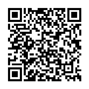 她也在担心万一事情没有朝着她预定的方向发展二维码生成