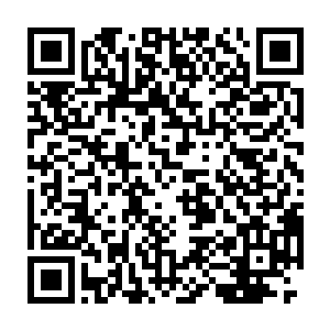 她也并没有想到自己因为无心透露的一句话竟然会给整个团队带来危险二维码生成