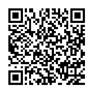 她也必然能够带领亚洲区成为国际海洋协会里最耀眼的一颗明星二维码生成