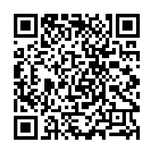 她也是知道自己的小姑子何莺儿不可能大度的回家了二维码生成