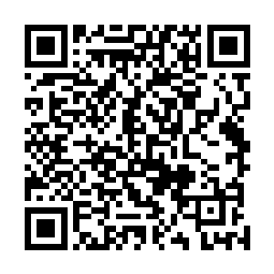 她也是认为自己可以轻松的拿下这个什么平安医馆的主人二维码生成