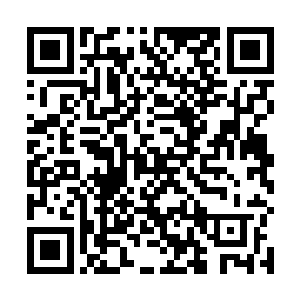 她也有了当年还是懵懂少女跟别人一起出去历练的感觉二维码生成