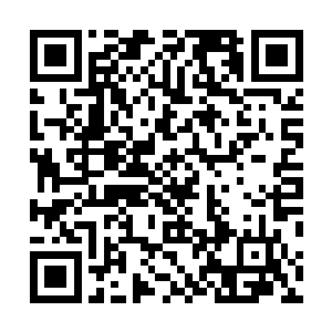 她也没天真到真的认为吴凡的一句话就能决定谁能上风尚二维码生成