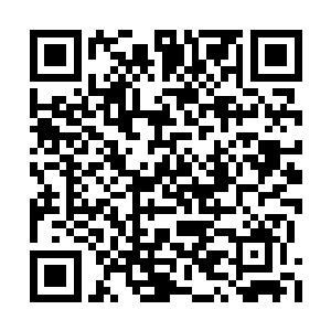 她也由最反对航海的人变成了丈夫最强的支持者二维码生成