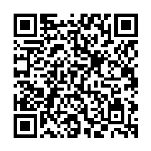 她也知道两天后那个男人就将在阴海之上迎来事关生死的一战二维码生成