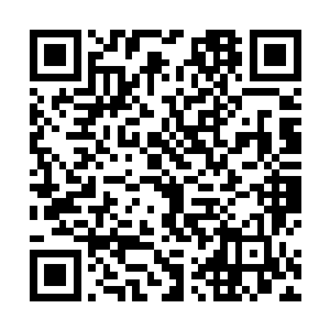 她也知道了妞妞为何要用肉搏的方式和血魔女进行战斗二维码生成