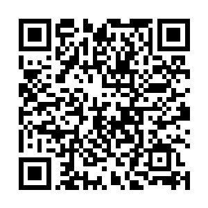 她也知道若是一上来就先询问医术的事儿只怕有些不好二维码生成