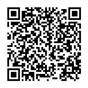 她也能从领队和教练的报告中看出谁才是取得这份成绩的最大功臣二维码生成