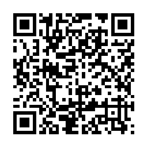 她也能感觉到愉快的气氛从切萨雷的身上散发出来二维码生成