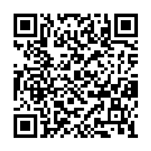 她也要和龙战并肩站在一起而不是站在他的身后二维码生成