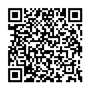 她也觉得以后的生活应该不会再有碍眼的来闹腾二维码生成