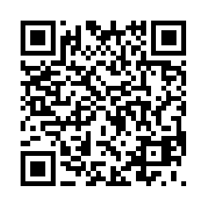 她今天过来只是打算和陆轻盈认识一下二维码生成