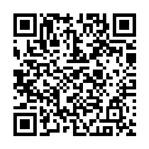 她今晚一定得把那几个平日里侍候凤瑾元的下人也给杀了泄愤二维码生成