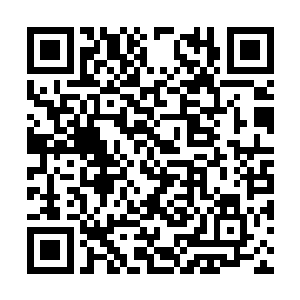 她仍旧一眼就认出这个就是当初给自己做人体实验二维码生成