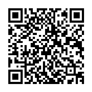 她仍旧想利用自己最后这点生命为两个子女谋求最后的生存财富二维码生成