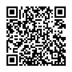 她从一名半精灵村庄里高价请来了一位老人作为导师二维码生成