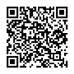 她从农场空间中抓出大把的追踪粉撒到周围空气中二维码生成