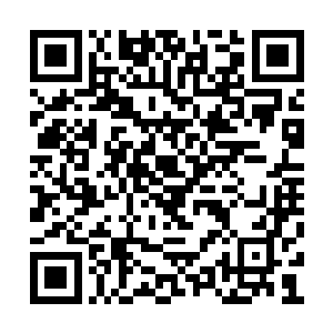 她从小学习的为之努力的都是为了让阿斯兰繁荣二维码生成