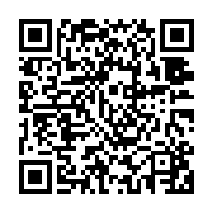 她从穿越来的那一天开始便知道自己是只能不够一切地往前冲了二维码生成