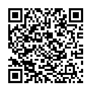 她仔细检讨了一下自己从到这个剧情世界的所有言行举止二维码生成