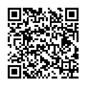 她付出了那么大的代价才能成功地让自己留在天元二维码生成