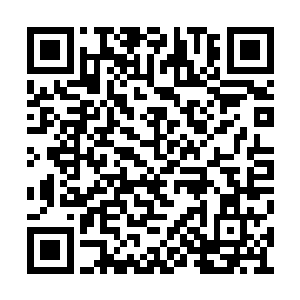 她以为是因为她从不在沈砚山面前说假话的原因二维码生成