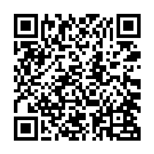 她们三个每个人的炼丹境界都达到了突破先天仙丹师的临界点二维码生成
