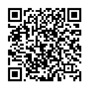 她们不是那个站在山巅只需要散发王霸之气的绝世强者二维码生成