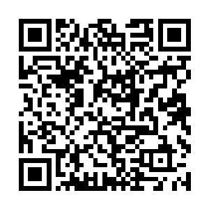 她们两个手中的逆鳞枪可是和主人手中的出自同一人二维码生成