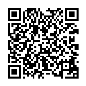 她们两个的枪法中就是缺少苗毅的那股霸气和杀气二维码生成
