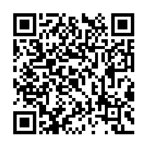 她们也想早点看到楚国夫人府府到底是个什么模样二维码生成